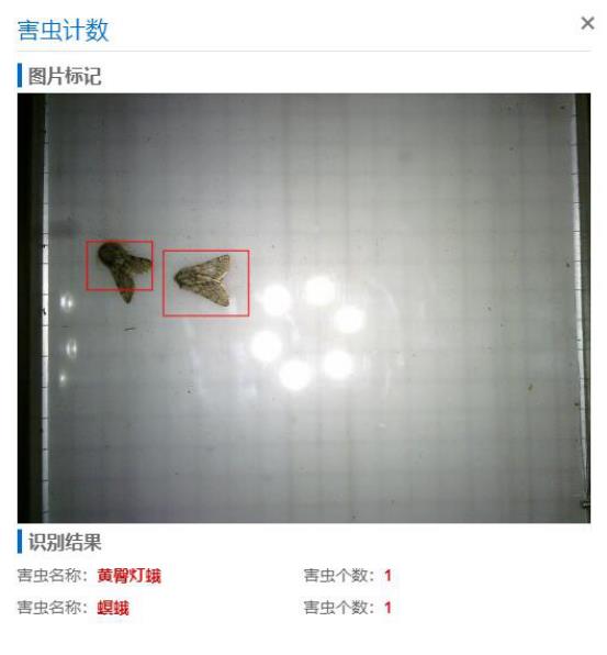 1689321770428658.jpg 2.jpg